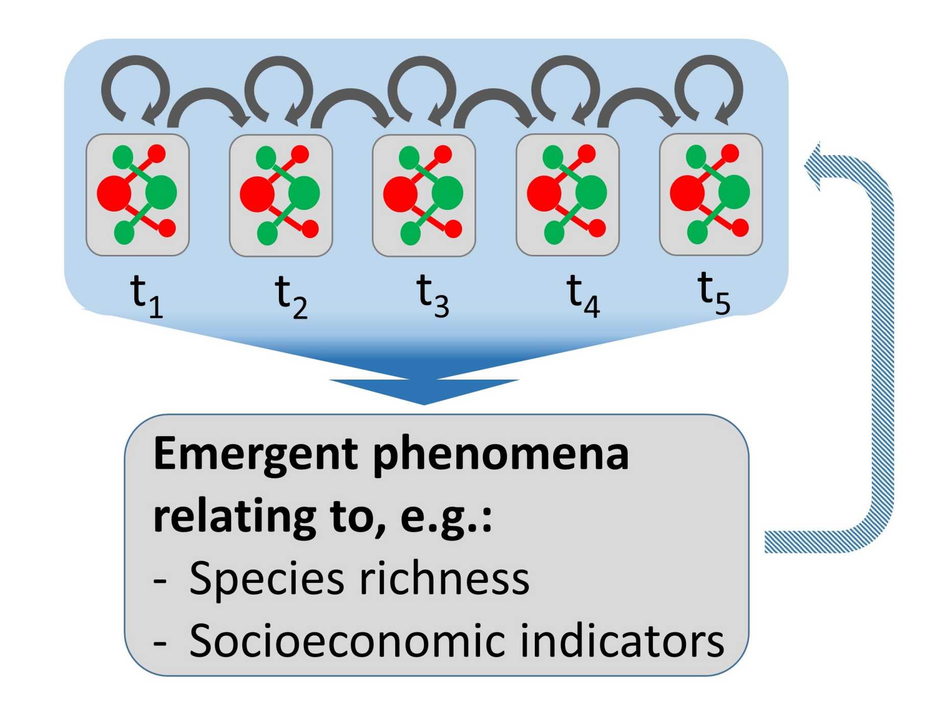 Emergent phenomena