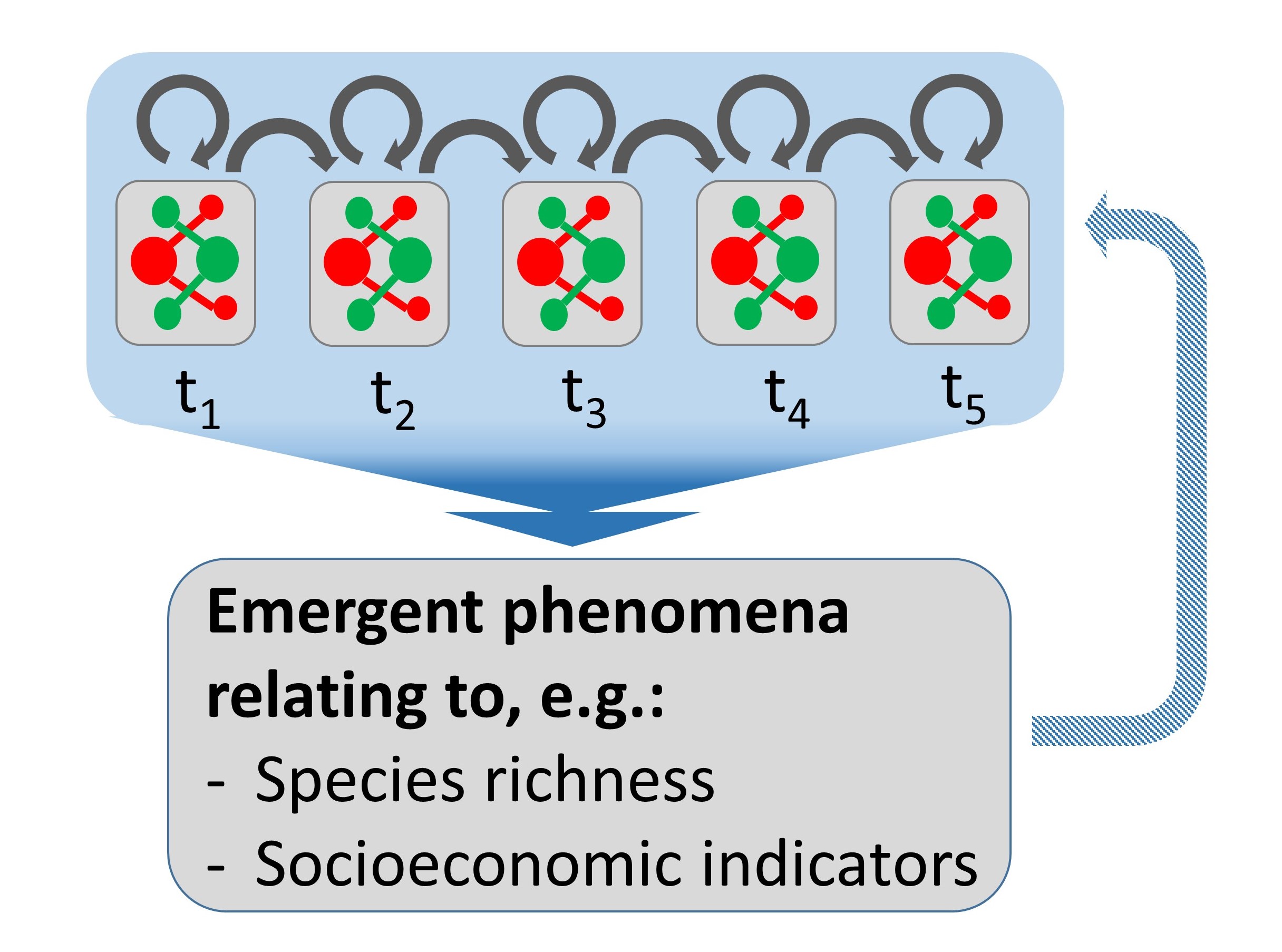 Emergent phenomena